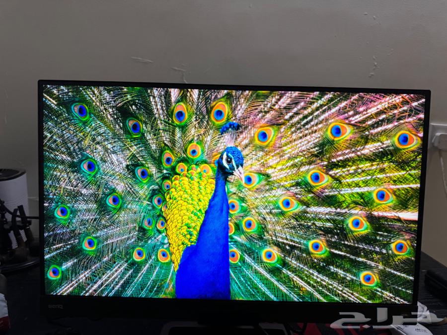 شاشة BenQ EX2780Q 1440P 144Hz63419169986177115