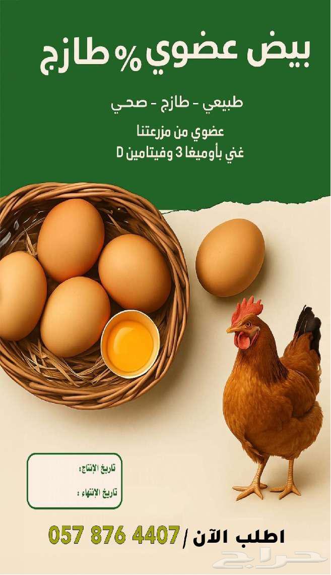 بيض عضوي من مزرعتنا63404095575939111