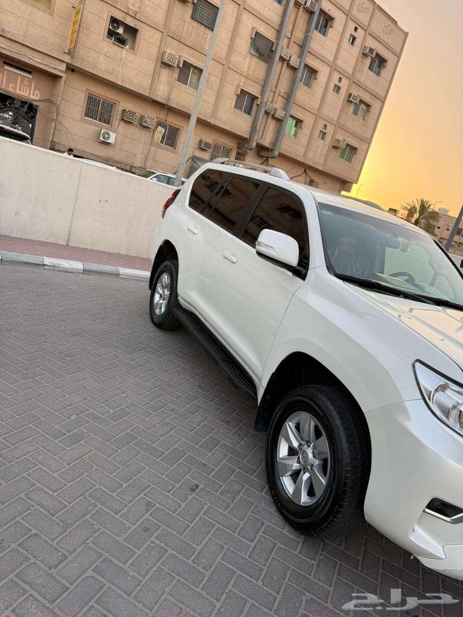 برادو 202263613093245442113