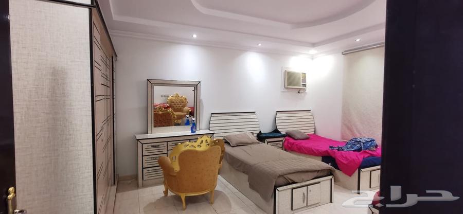 شقة للإيجار