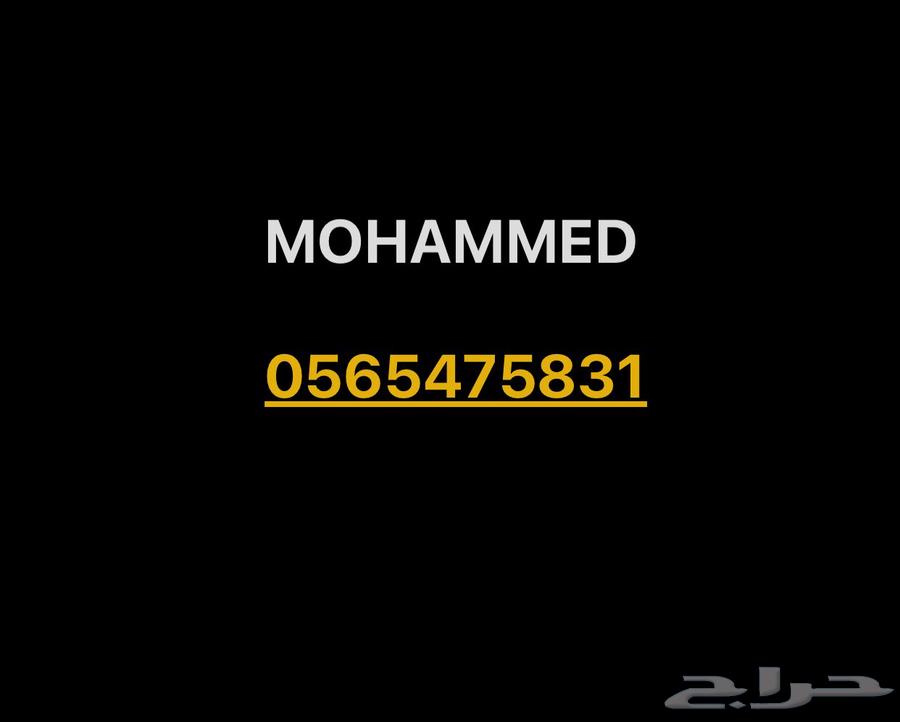 باص توصيل جميع المشاوير مع السائق في الشرقية Bus Taxi63032299592578112