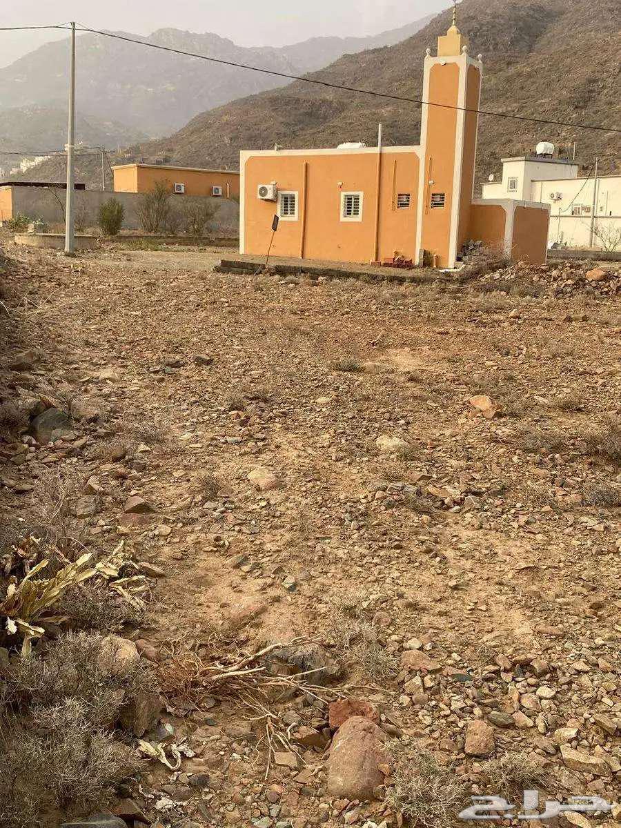 Residential land in Khamees Muttar634403793835551113