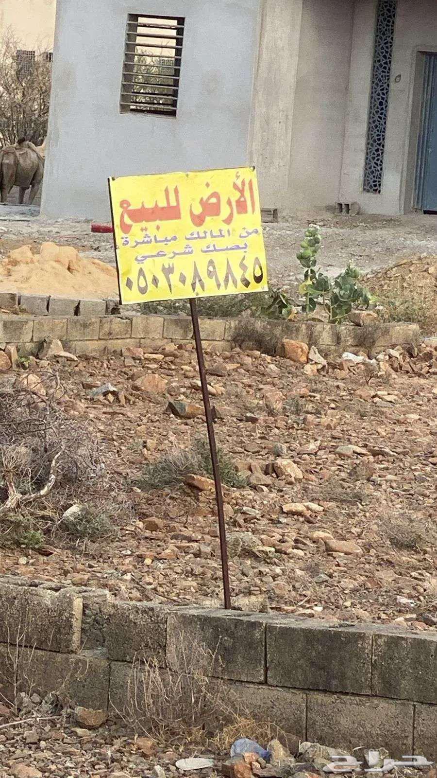 Residential land in Khamees Muttar63440379383555113