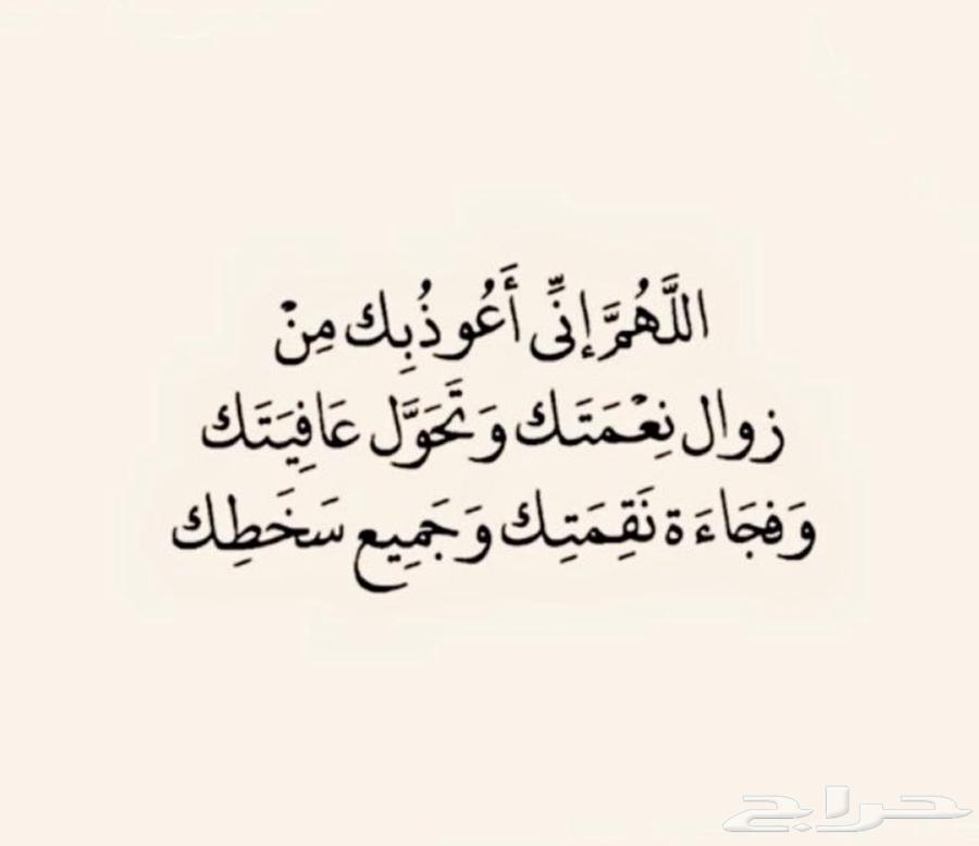 مطلوب بوم ترك نظيف 10 طن636139531685151110