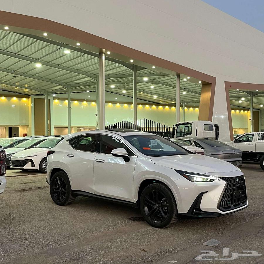 Lexus NX63613712829059111