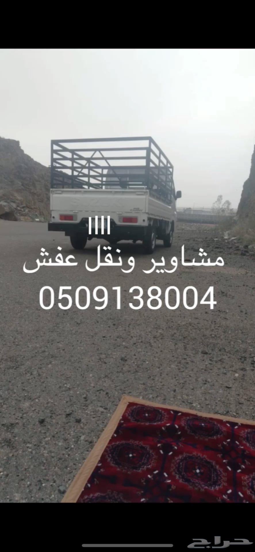 دباب630292305954591121