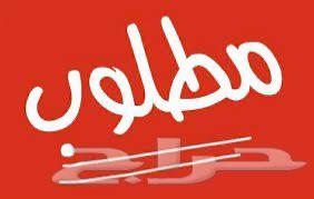 Rabigh, a female employee needs to be transported from Rabigh to Jeddah.630288021754891110