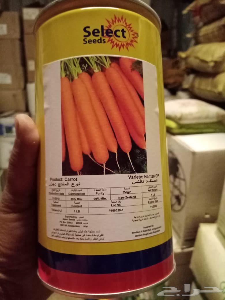 Carrot seeds for sale633456200999701117