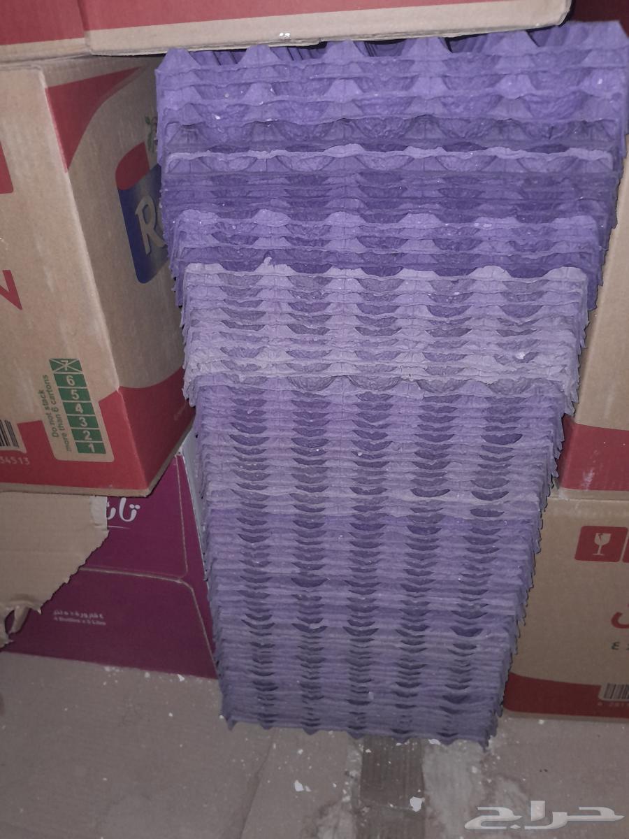 اطباق بيض فاضيه630287982129941112