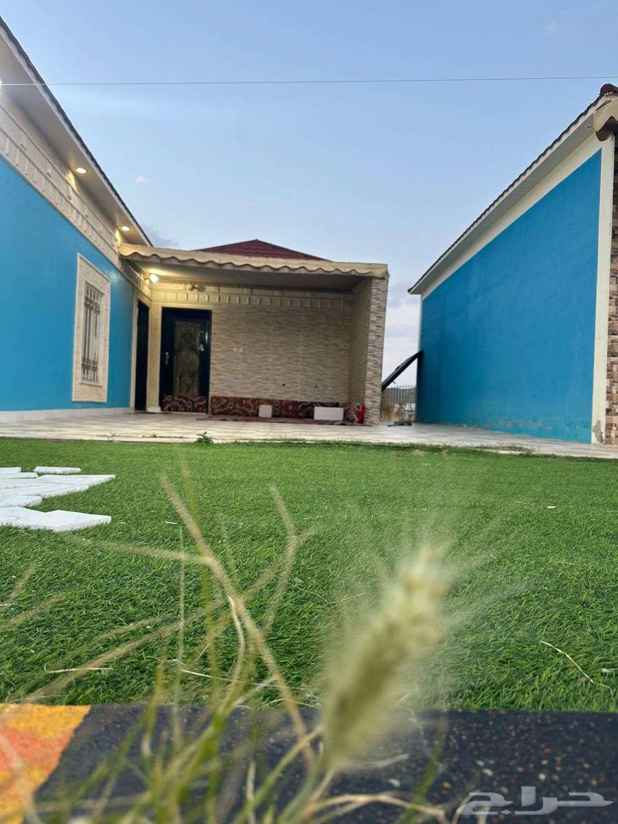Al-Sudah Rest House (large and medium rest houses) for daily rent62920167005698113