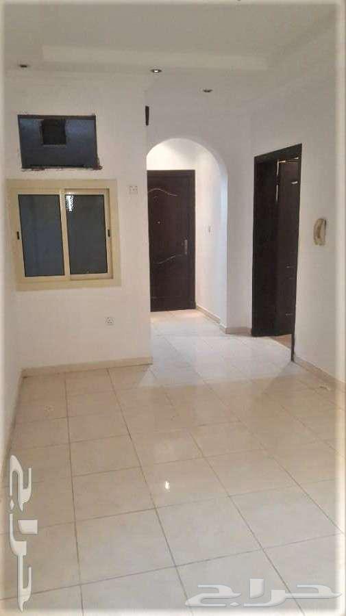 شقه حي بن لادن63005731930115111