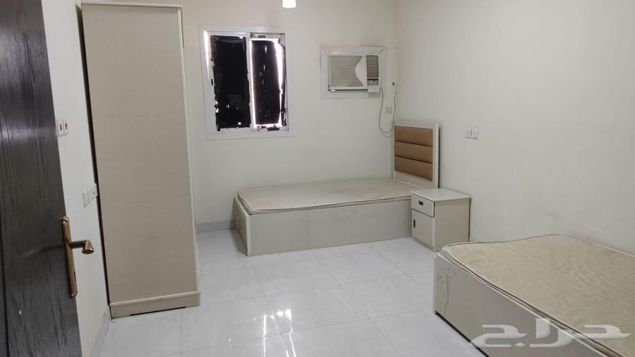 For rent, a furnished bachelor apartment 3300 monthly in Al-Rimal district, offer number 801 D63012946186881114