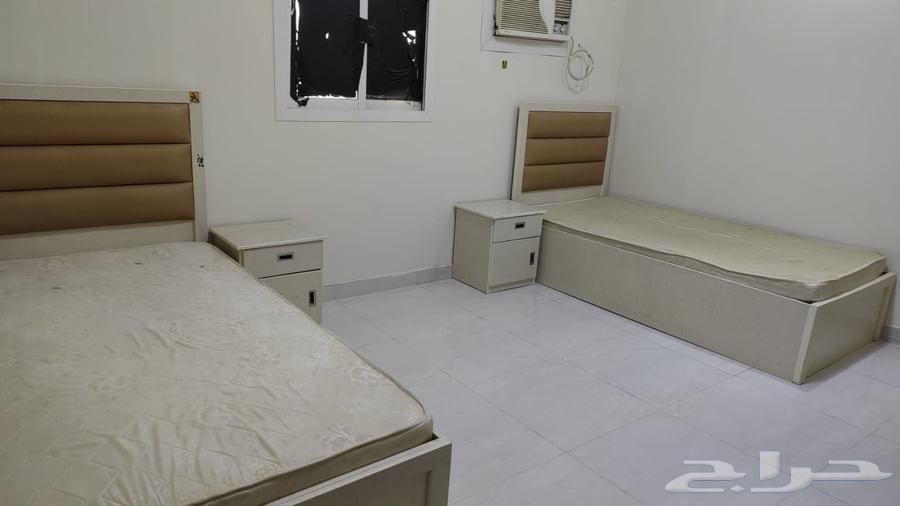 For rent, a furnished bachelor apartment 3300 monthly in Al-Rimal district, offer number 801 D63012946186881112