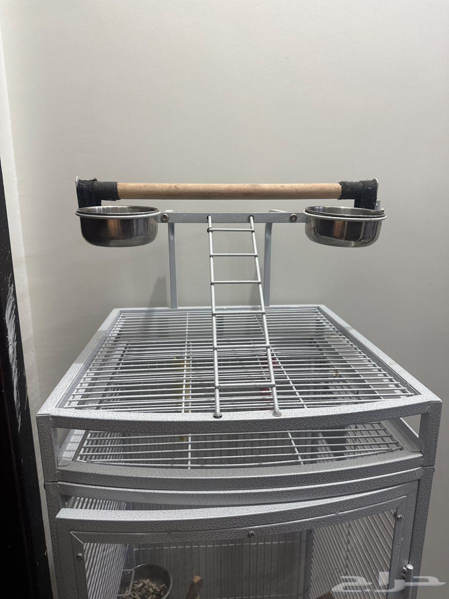 Kasako's Cage63005097516673114