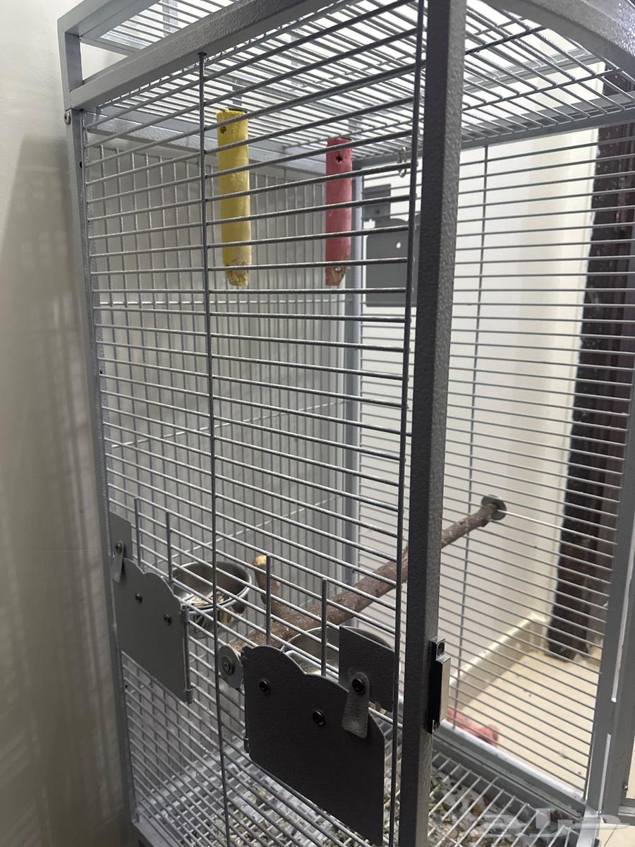 Kasako's Cage63005097516673111