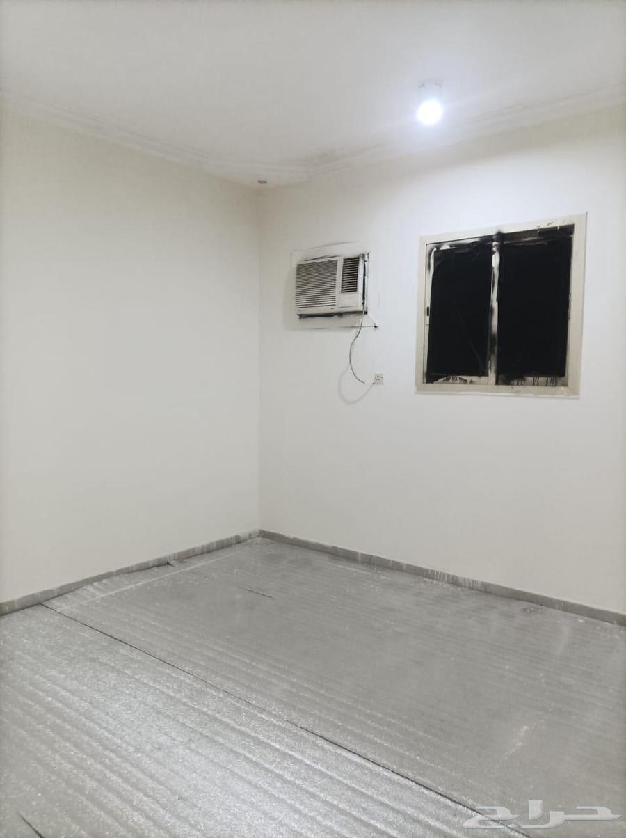 شقة عزاب للإيجار بحي لبن62995399847169111