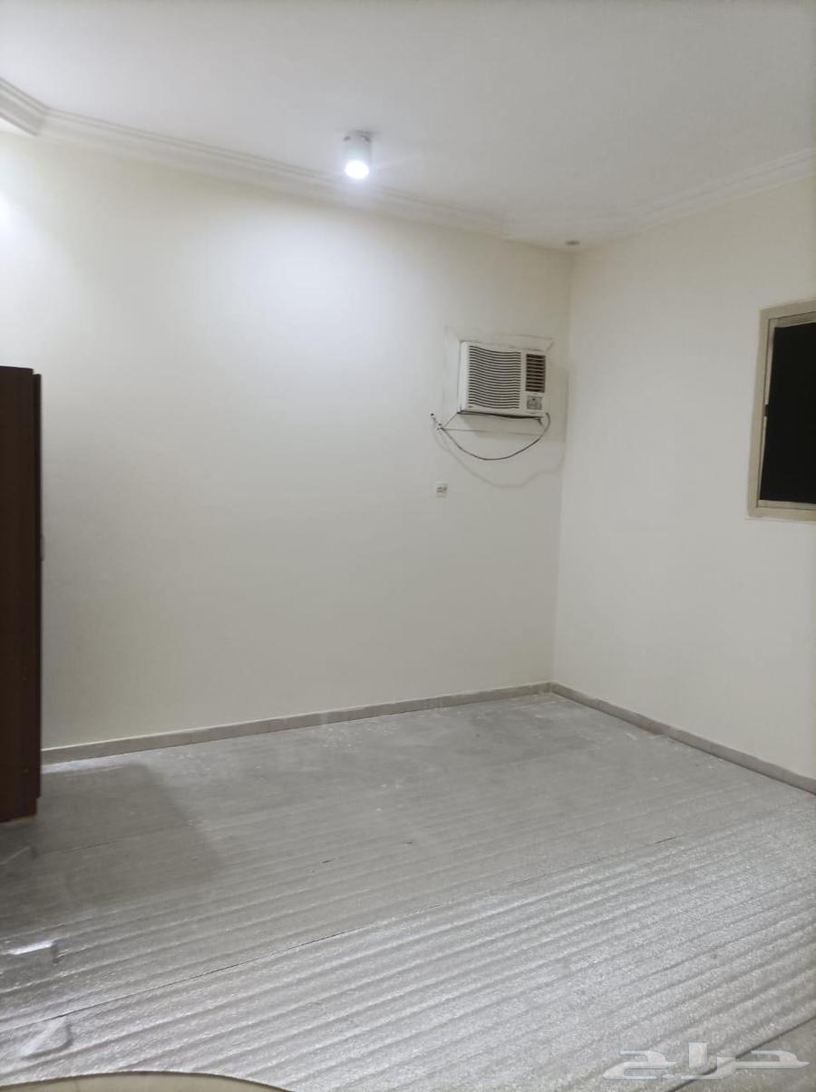 شقة عزاب للإيجار بحي لبن62995399847169112