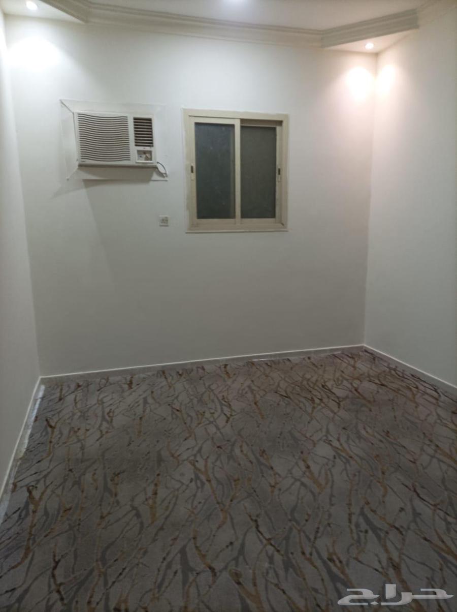 شقة عزاب للإيجار بحي لبن62995399847169114