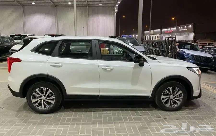 هافال جوليان بيسك 2025 اقل سعر كاش وتقسيط63403575331075113