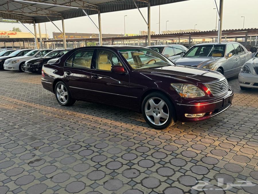 الاحساء الطرف634009014858251123
