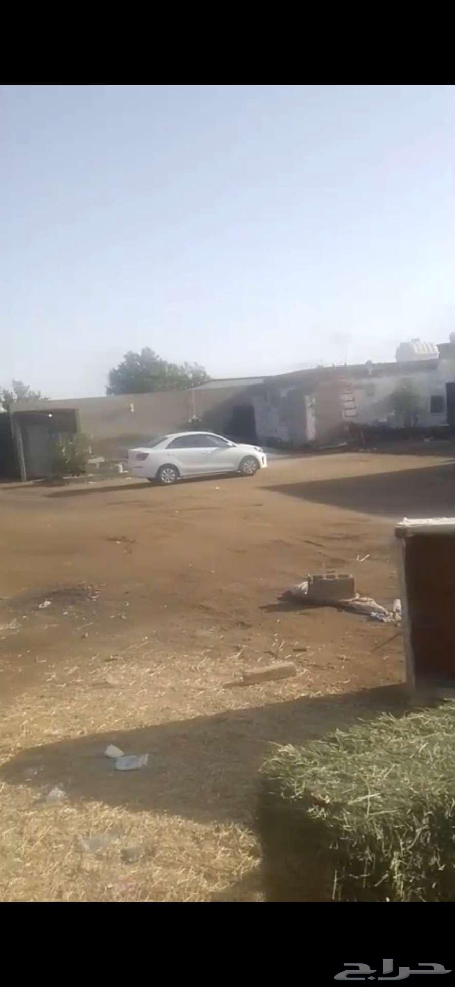 حوش مع 5 غرف للايجار63402955387779110