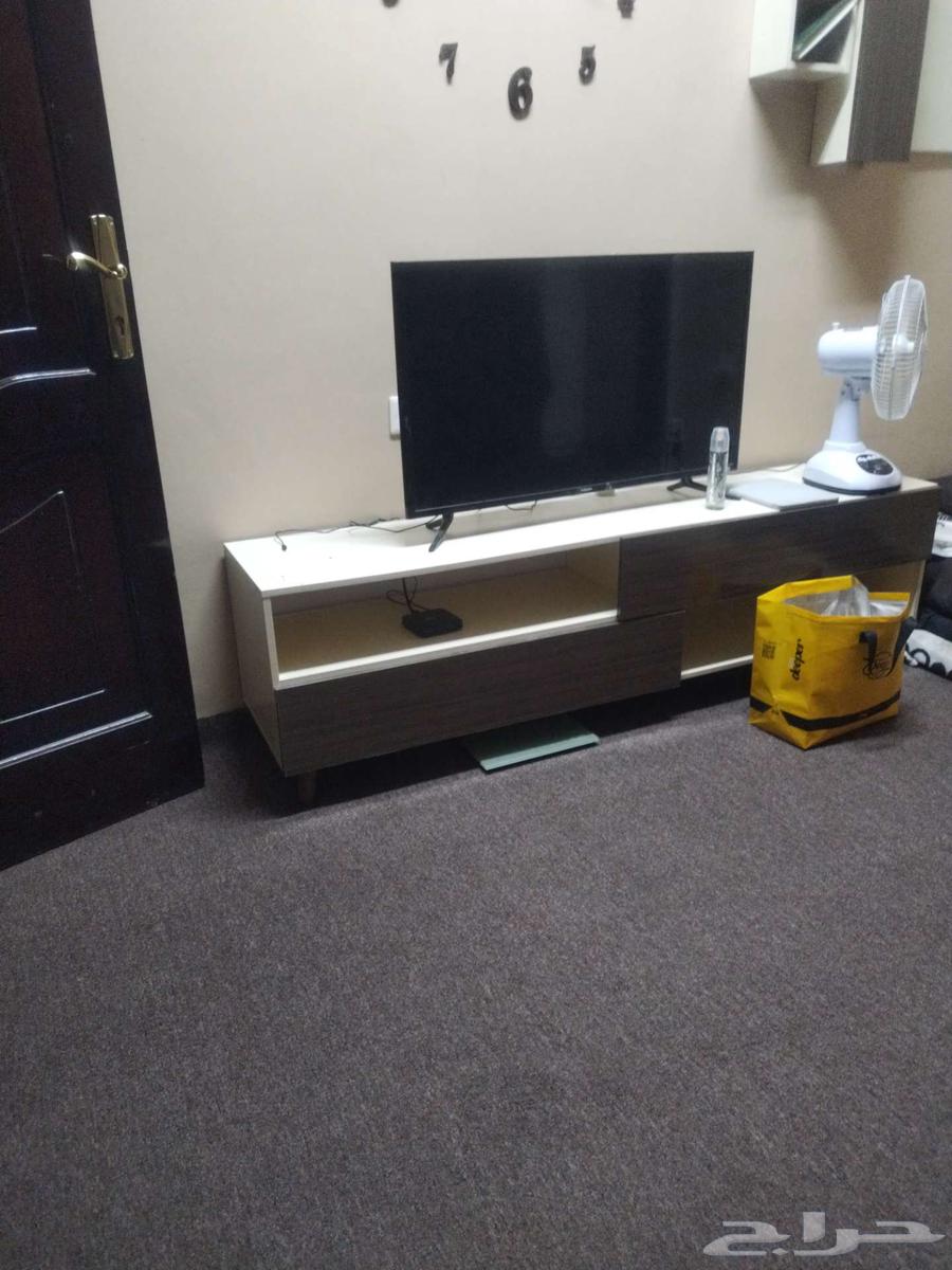 المدينة المنورة63402957068289111