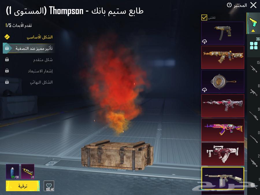PUBG account level 8063391880030209113