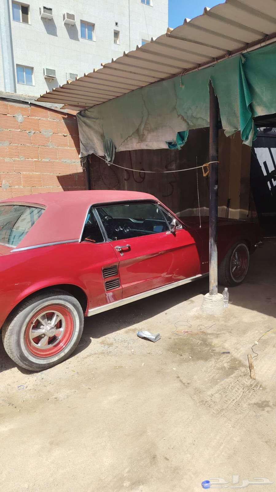 Mustang Model 6763394535221634112