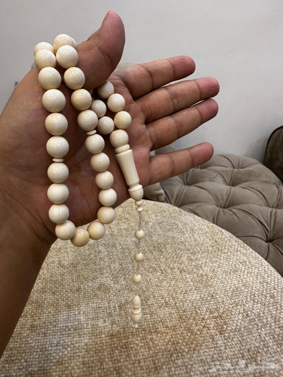 Ivory tusks stored in swimming pools63441122438275112