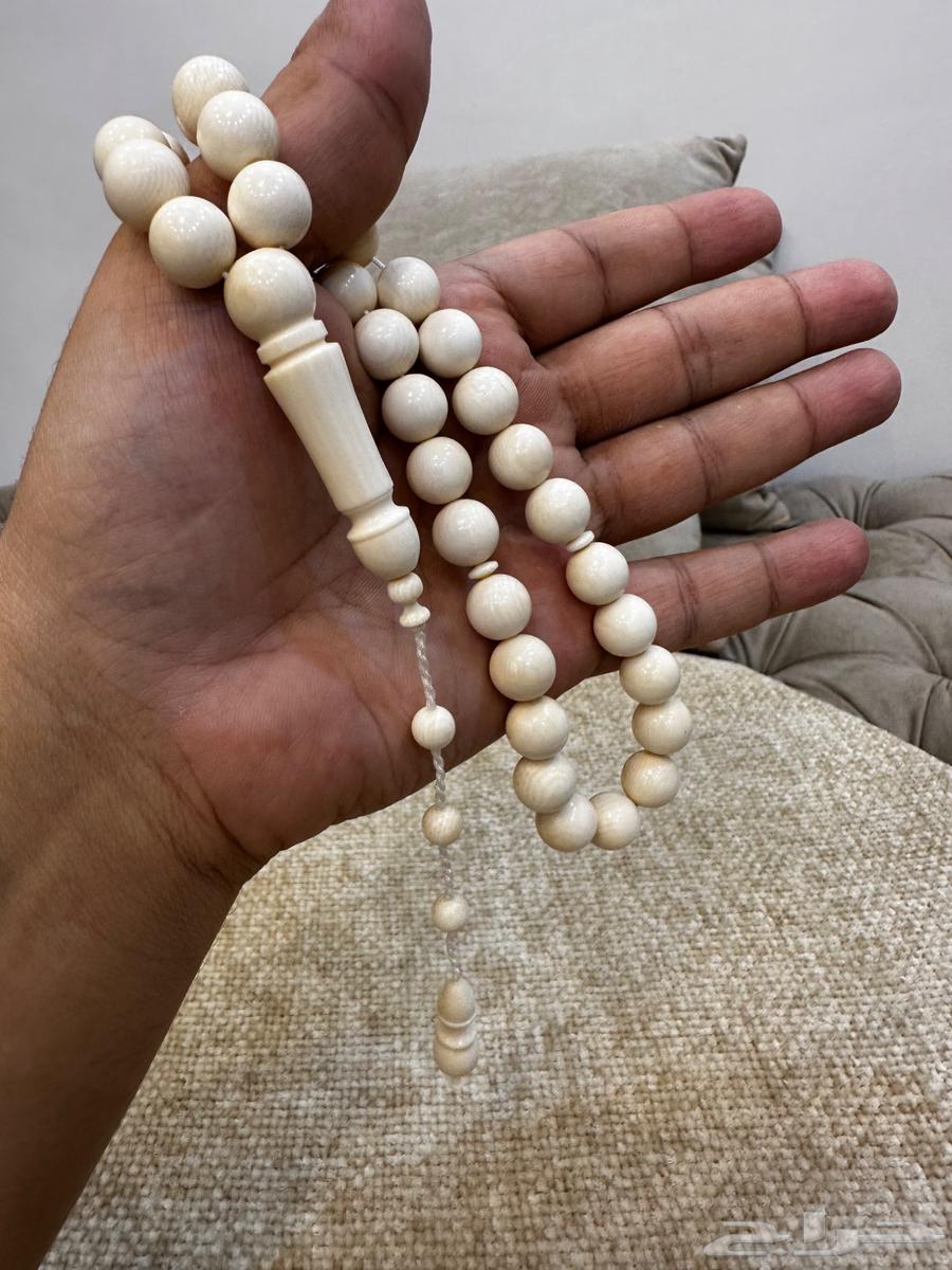 Ivory tusks stored in swimming pools63441122438275113
