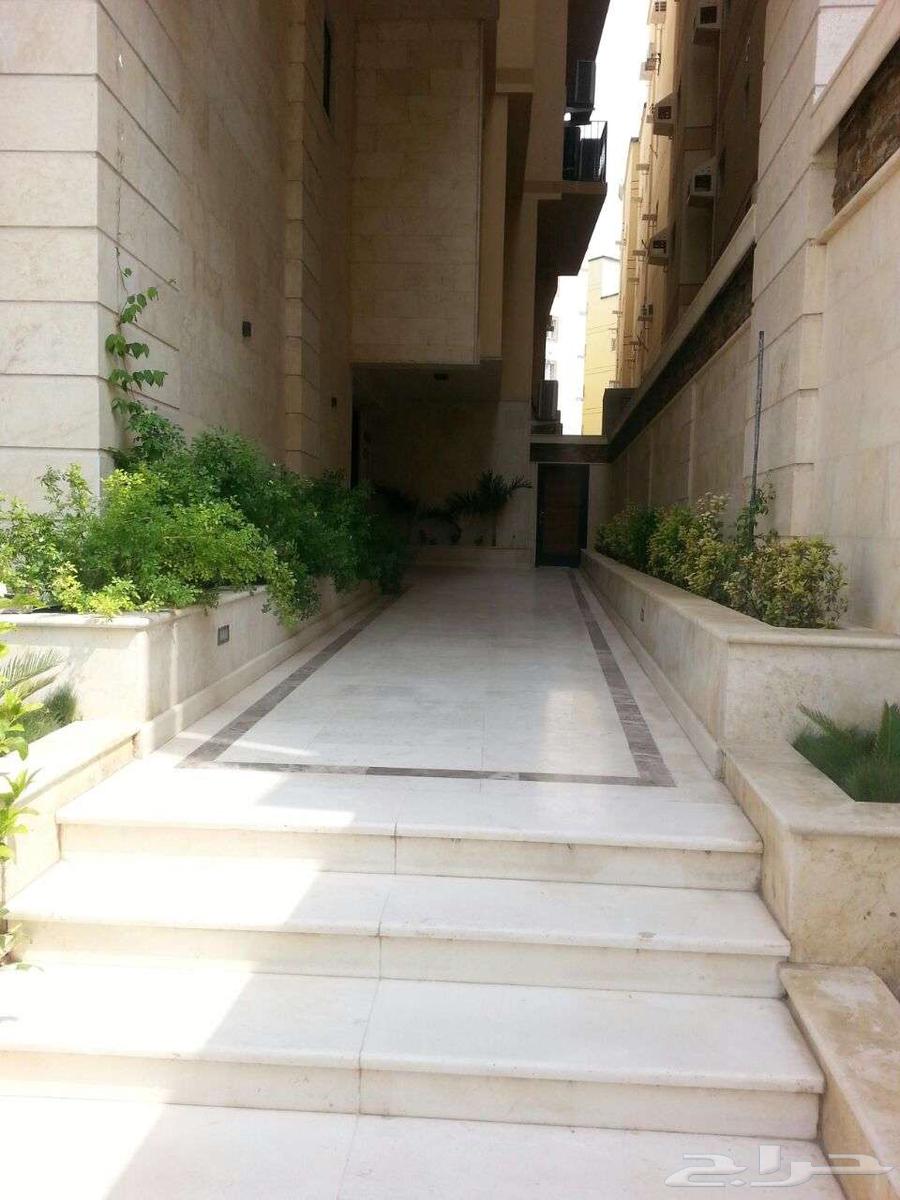 شقق فاخرة كبيرة للعائلات - للإيجار السنوي حي الواحة63380053729539112