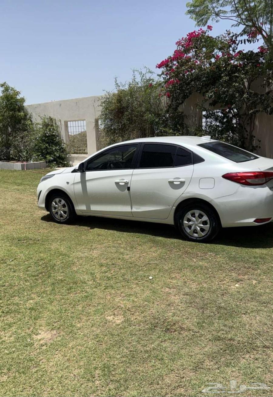يارس 2019 شرط63396419306498112