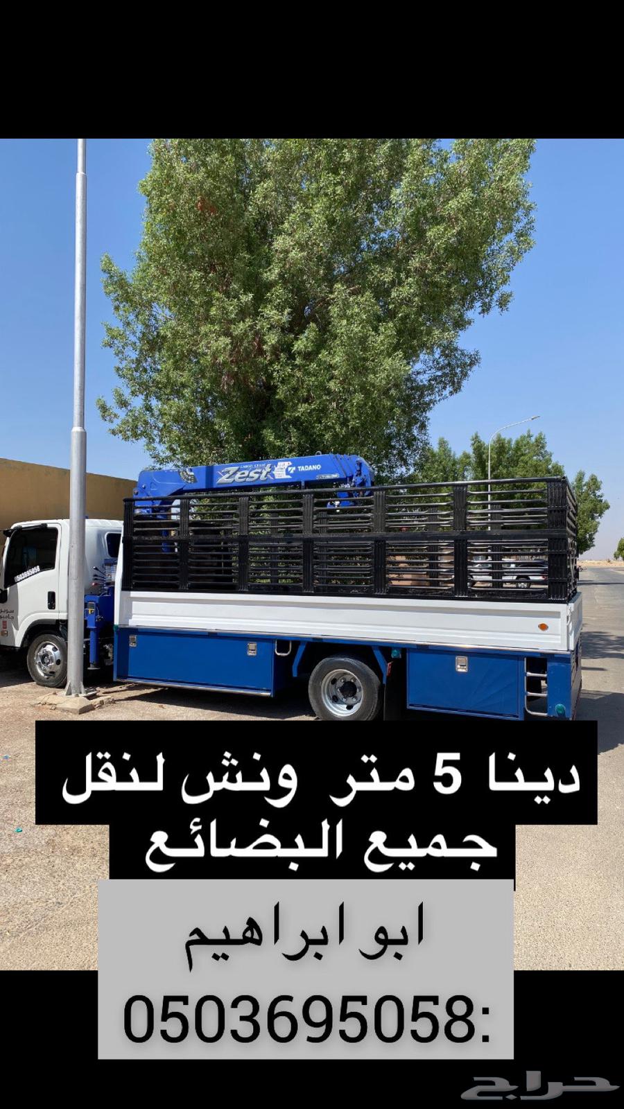 دينا ونش داخل وخارج القصيم633800891623691121