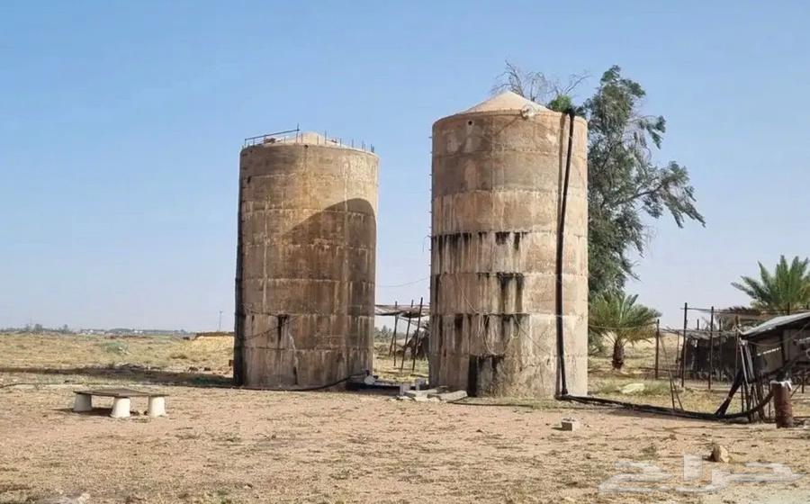 A farm of 100,000 square meters in Baqaa Province63380118453379111