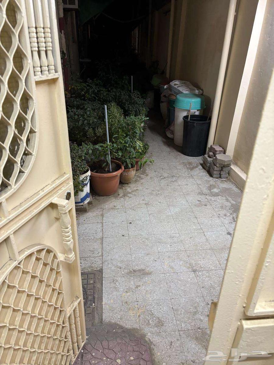 Various sized buildings for sale63381115781634112