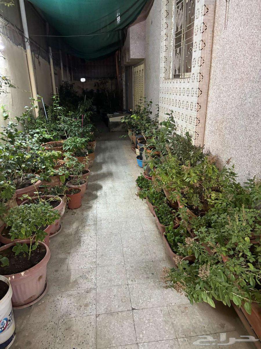 Various sized buildings for sale63381115781634113