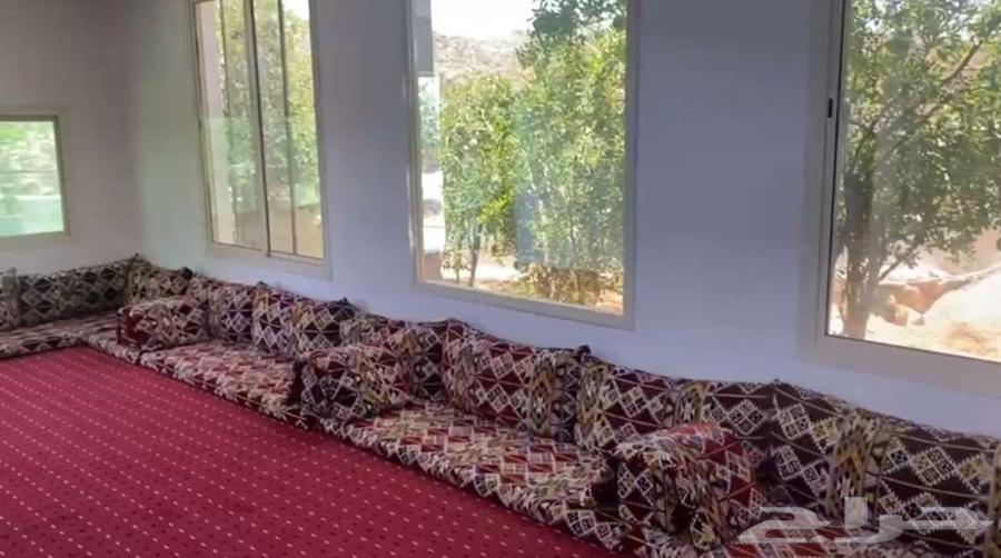 Rest area (Al-Shafa sofas) for daily and weekly rental63381117052930113