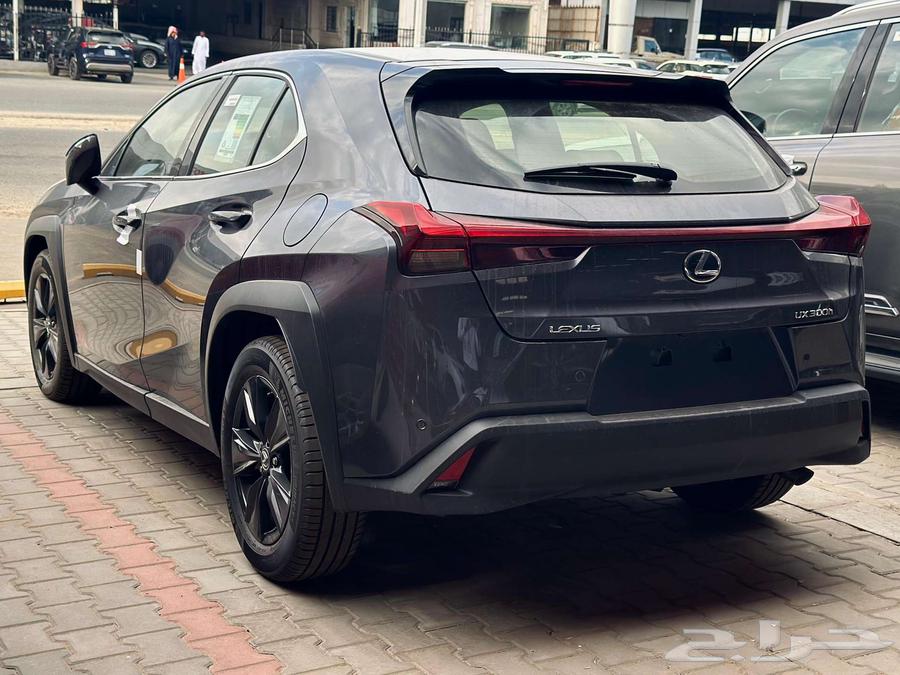 Lexus UX300 AH 202463394619483138114