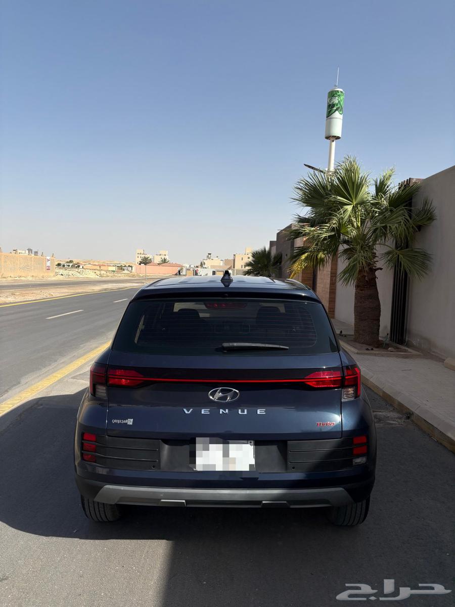 فينو 202363384338091905113
