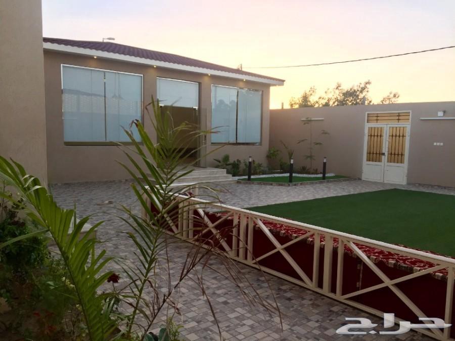 Rent a rest area in Taif63381159628418113