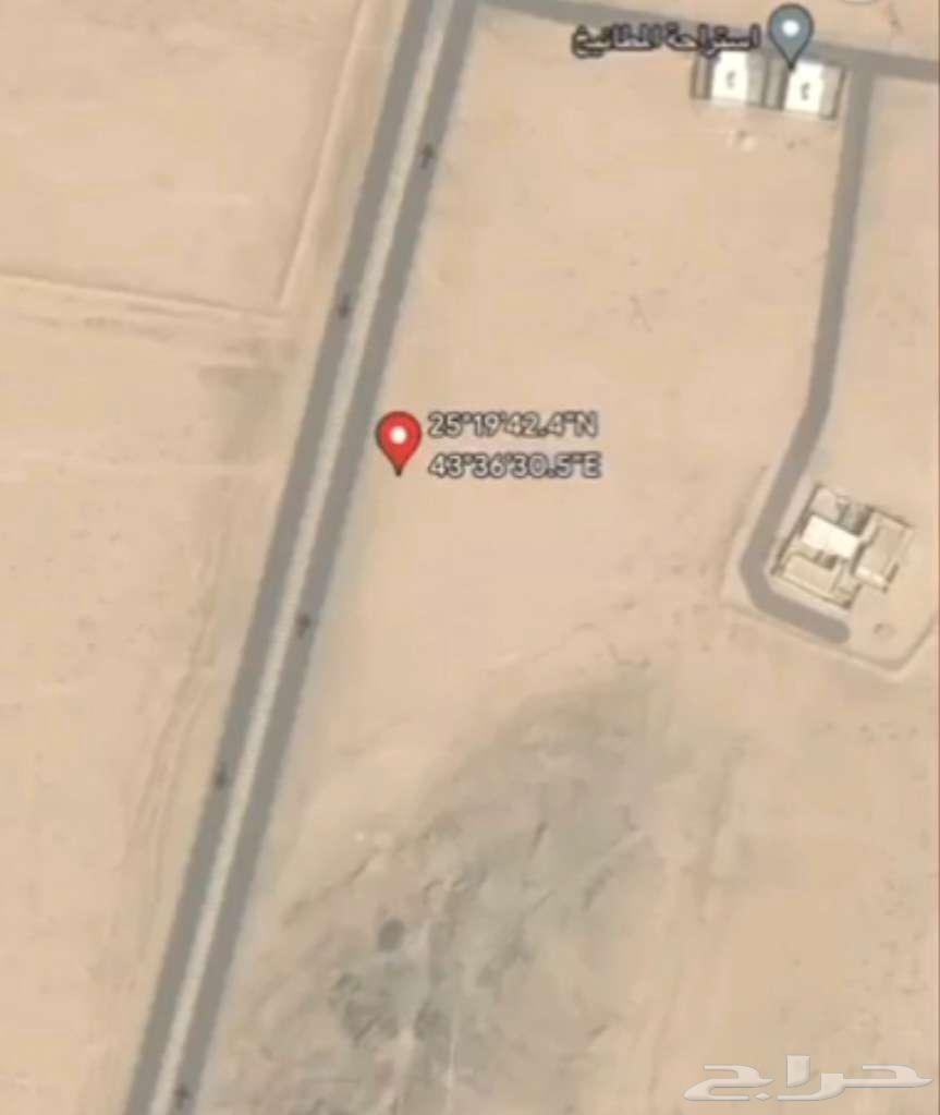 ارض زراعية للبيع في دخنه 190 الف63381197027587113