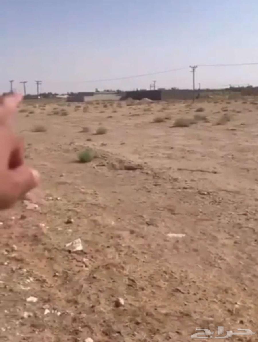 ارض زراعية للبيع في دخنه 190 الف63381197027587112