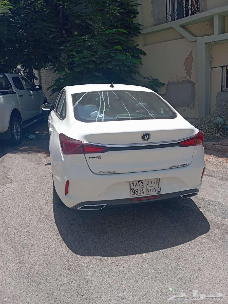Shanjan for sale63381439409410114