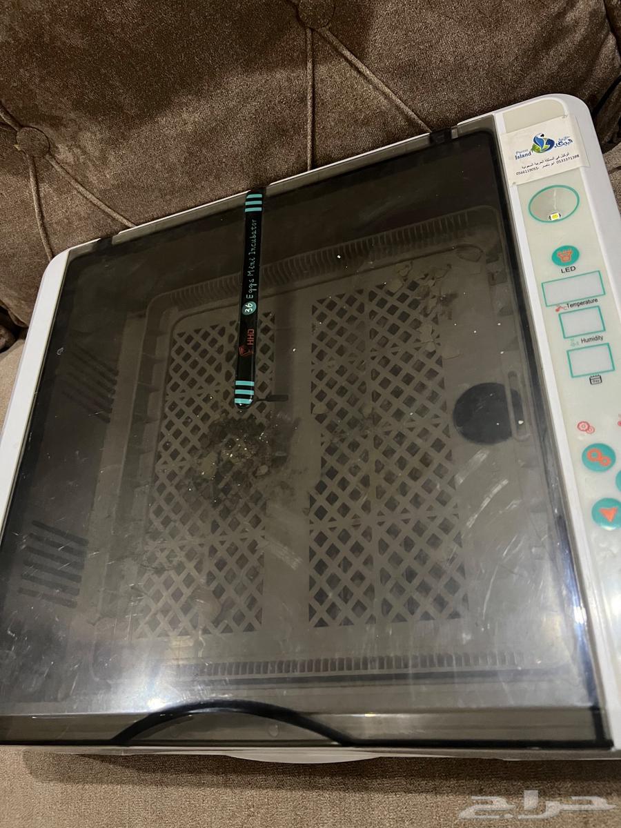 Incubator63618383976707111