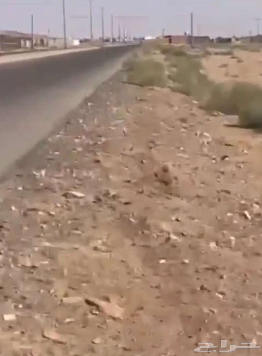 ارض زراعية للبيع في دخنه 190 الف63381197027587111