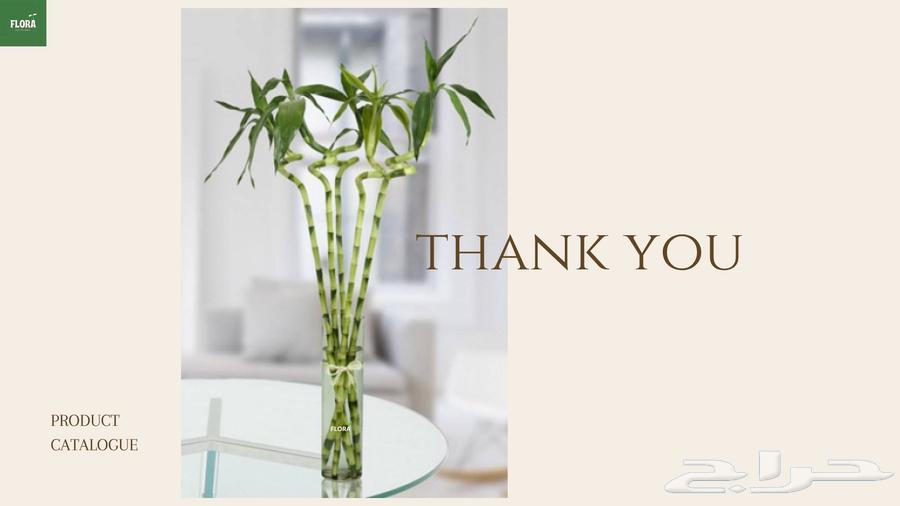 Feel the life with natural plants63381200923523115