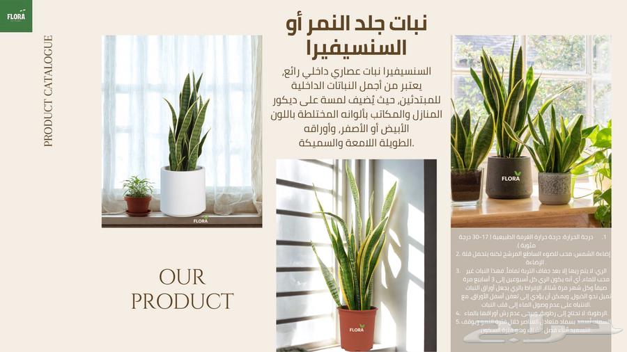 Feel the life with natural plants63381200923523114