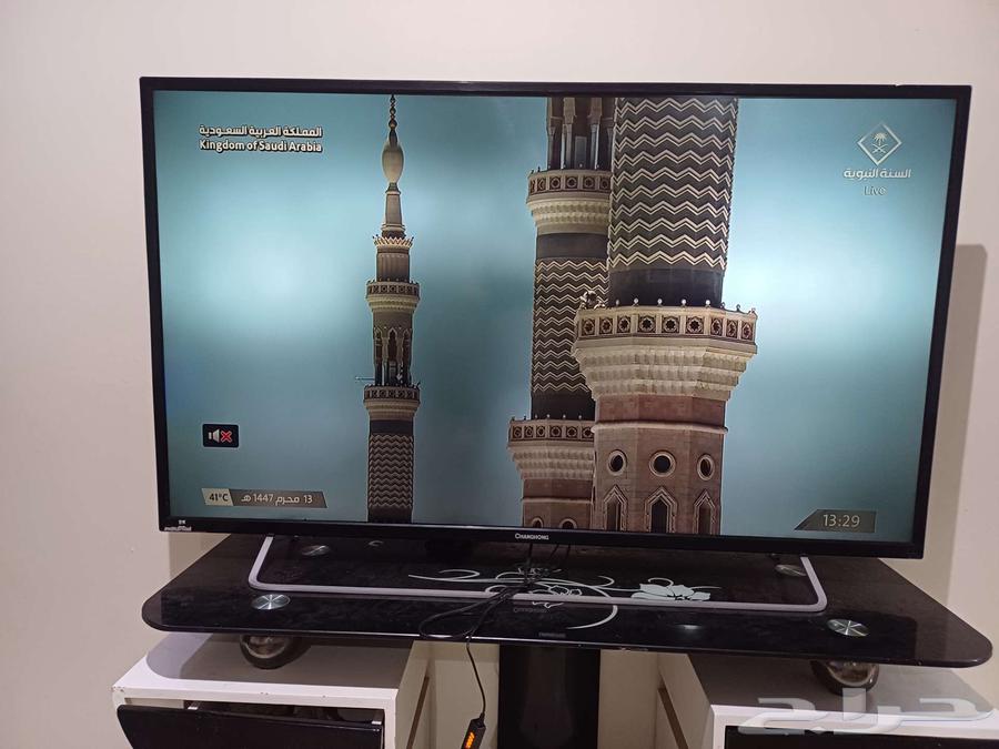Screen for sale, 50 or 55 inches, regular63381359130753112