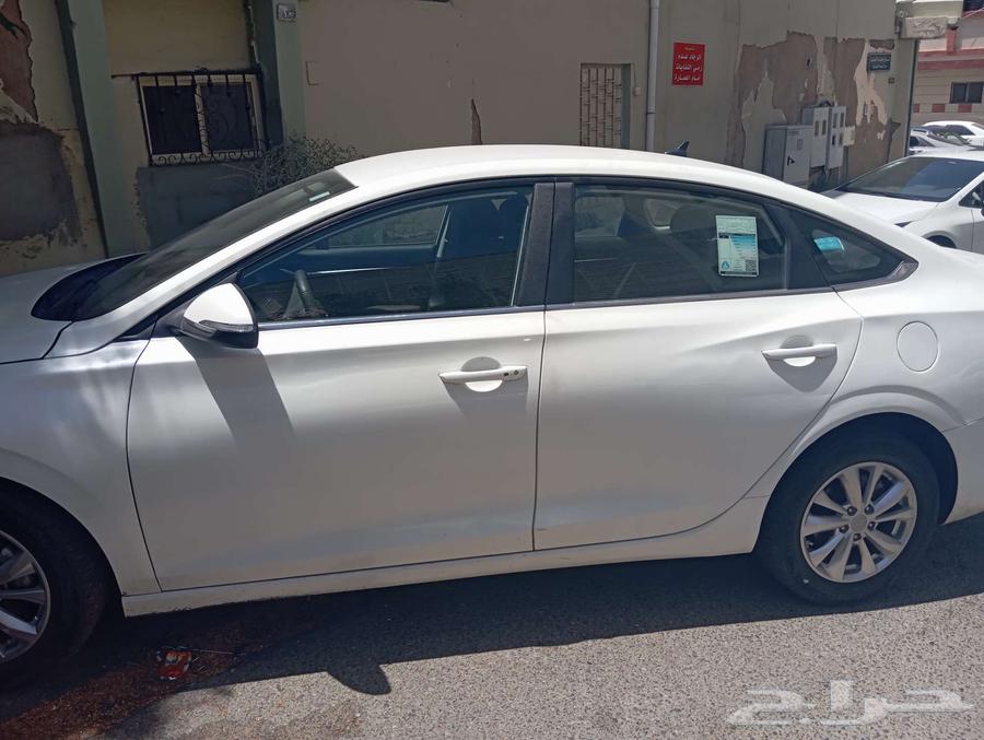 Shanjan for sale63381439409410113