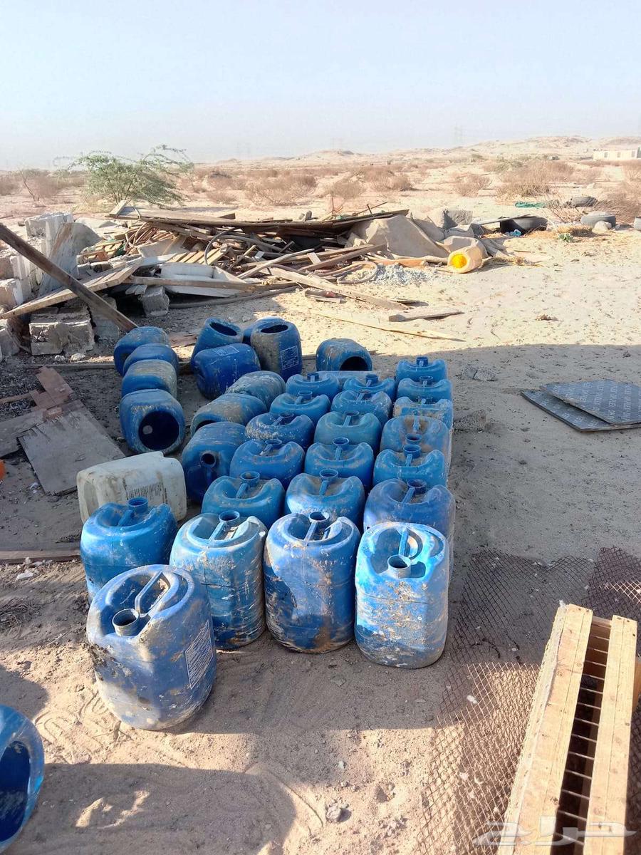 جراكل طيور حمام مقصوص وجاهز63618385993219111